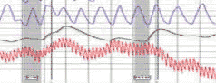 Oakland polygraph